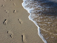 footprints in the sand on the beach