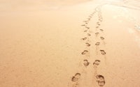 footprints in the sand on a beach